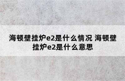 海顿壁挂炉e2是什么情况 海顿壁挂炉e2是什么意思